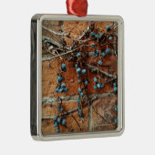 Een teken van de winter, de wijnbessen en de bakst metalen ornament (Rechts)