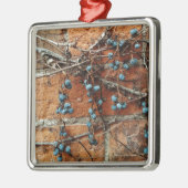 Een teken van de winter, de wijnbessen en de bakst metalen ornament (Links)