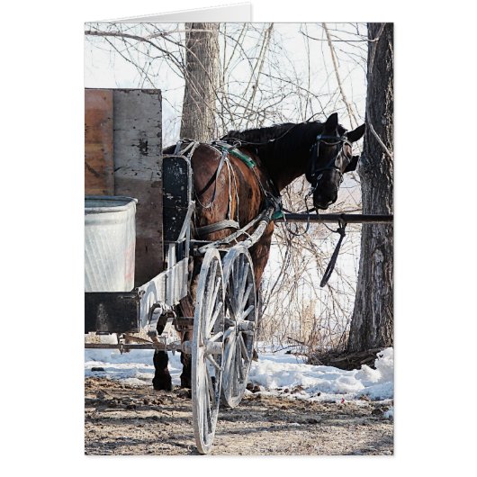Een terugblik op het paardenpaard Alle gelegenhede (Voorkant)