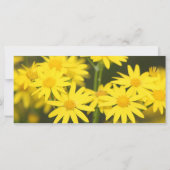 Een tijd voor alles wat gebeden Kaart is (Achterkant)