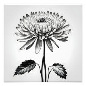Een tijdloze chrysant foto afdruk (Voorkant)