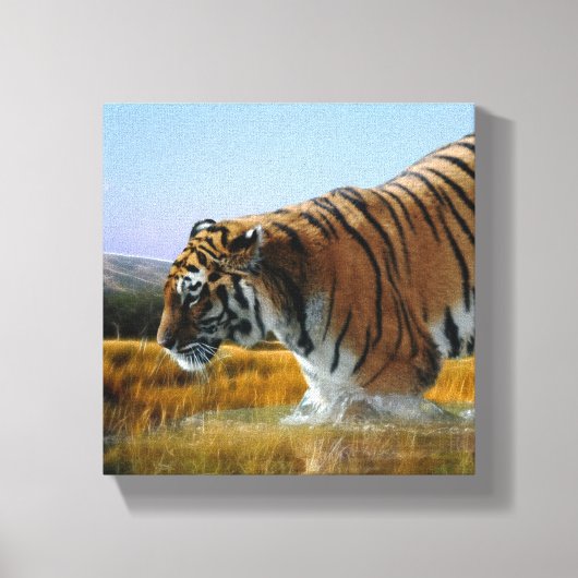 Een tijger die in het water wast canvas afdruk (Voorkant)