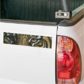 Een tijger gezicht bumpersticker (Op Truck)