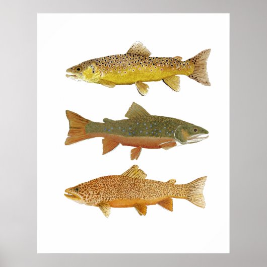 Een tijger maken poster (Voorkant)