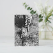 Een tijger met haar twee cubs bij de dierentuin va briefkaart (Staand voorkant)