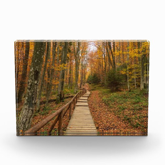 Een tocht door het herfstbos. fotoblokken (Voorkant)