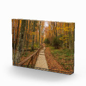 Een tocht door het herfstbos. fotoblokken (Rechts)