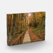 Een tocht door het herfstbos. fotoblokken (Links)