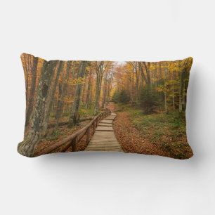 Een tocht door het herfstbos. kussen