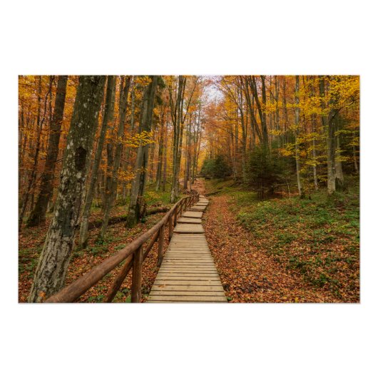 Een tocht door het herfstbos. perfect poster (Voorkant)
