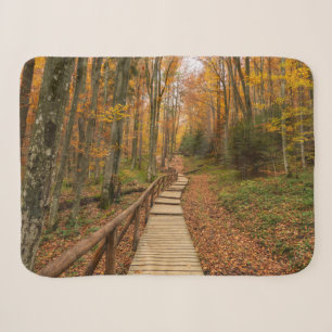 Een tocht door het herfstbos. sherpa deken