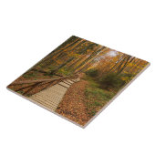 Een tocht door het herfstbos. tegeltje (Zijkant)