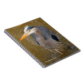 Een top-down Uitzicht van een Blauwe Heron Notitieboek (Rechterzijde)