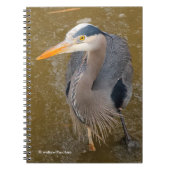 Een top-down Uitzicht van een Blauwe Heron Notitieboek (Voorkant)