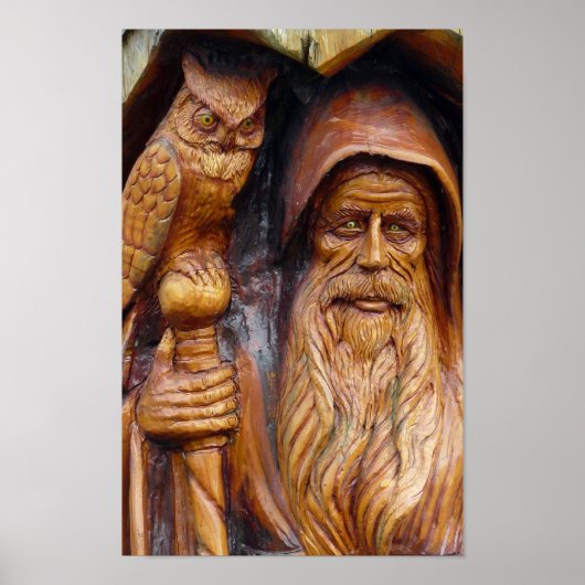 Een tovenaar en Owl ontstaan uit Cavern Poster (Voorkant)