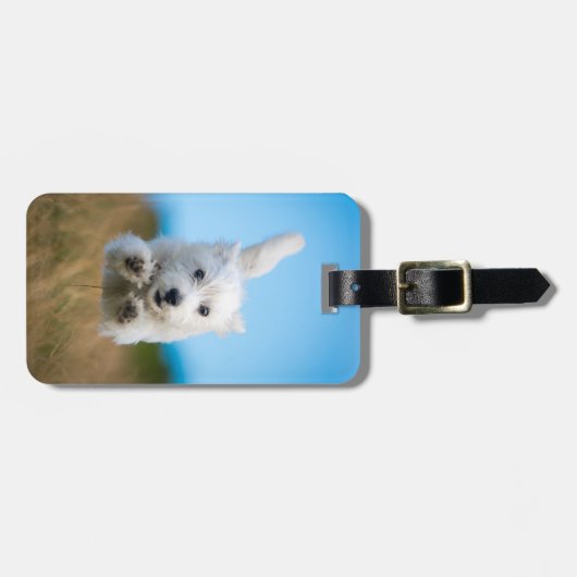 Een toverkorting van de Terrier Puppy die van het  Bagagelabel (Voorkant horizontaal)