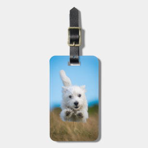 Een toverkorting van de Terrier Puppy die van het Bagagelabel