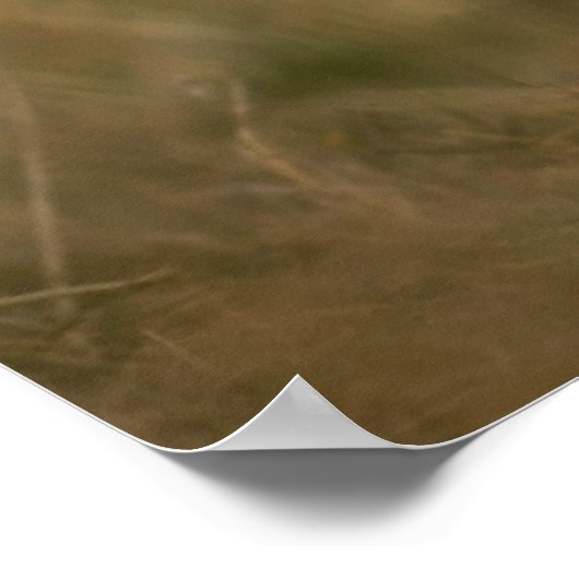 Een toverkorting van de Terrier Puppy die van het  Poster (Hoek)