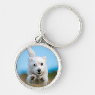 Een toverkorting van de Terrier Puppy die van het  Sleutelhanger