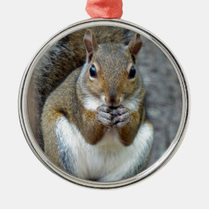 Een Treat leuk vinden Metalen Ornament
