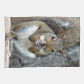 Een Treat Towel leuk vinden Theedoek (Horizontaal)