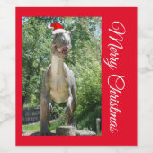 Een TREX Dinosaur met een Pet voor de kerstman Wijn Etiket (Enkel label)