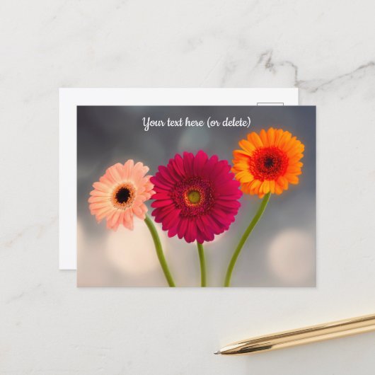 Een trio van Gerbera's ansichtkaart Briefkaart (Voorkant / Achterkant in situ)