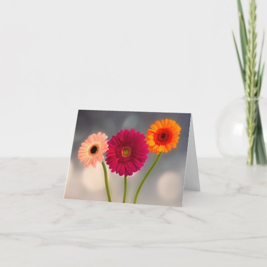 Een trio van Gerberas gevouwen wenskaart Kaart (Voorkant)