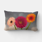 Een trio van Gerberas Lumbar Cushion Kussen (Achterkant)
