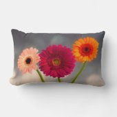 Een trio van Gerberas Lumbar Cushion Kussen (Voorkant)