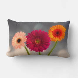 Een trio van Gerberas Lumbar Cushion Kussen