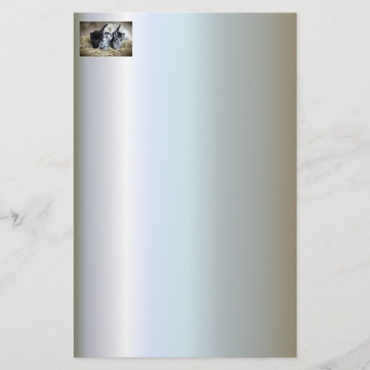 Een trio van Kittens samen nodig Briefpapier (Voorkant)