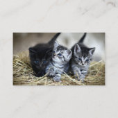 Een trio van Kittens samen nodig Visitekaartje (Achterkant)