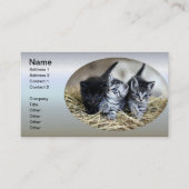 Een trio van Kittens samen nodig Visitekaartje (Voorkant)