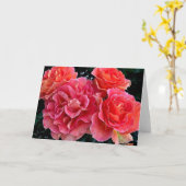 Een troep van Rozen Kaart (Gele Bloem)