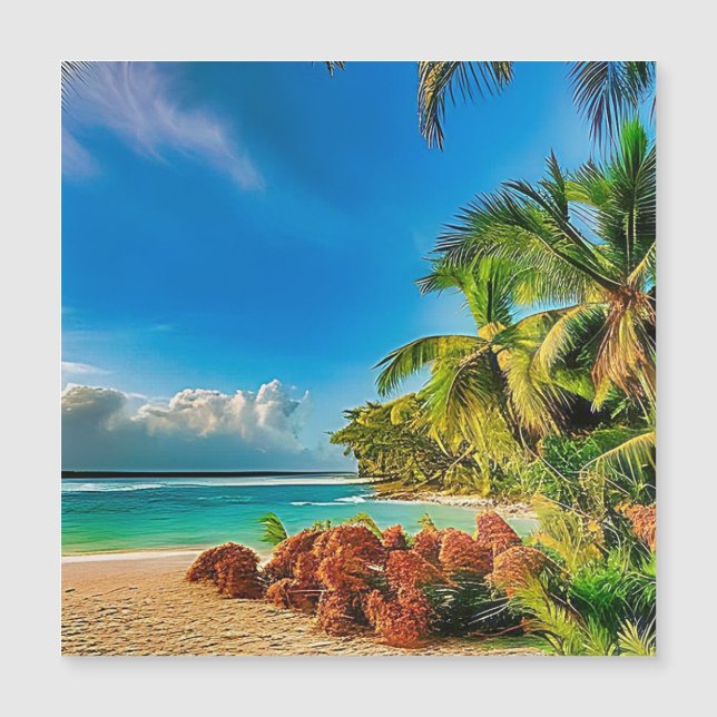 Een tropisch paradijs. (Voorkant)