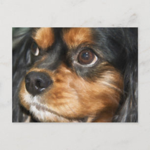 Een trouwe hond Cavalier King Charles Spaniel ansi Briefkaart