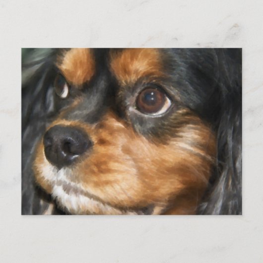 Een trouwe hond Cavalier King Charles Spaniel ansi Briefkaart (Voorkant)