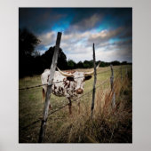 Een True Texas Longhorn Poster (Voorkant)