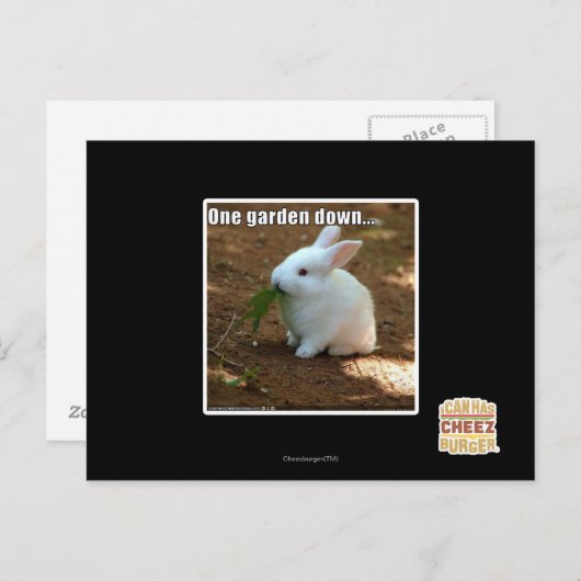 Een tuin naar beneden� briefkaart (Voorkant / Achterkant)