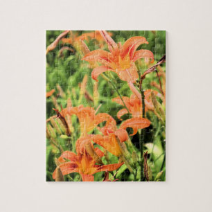 Een tuin van de Oranje tijgerlilies Legpuzzel