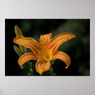 Een tuinprint om van te genieten poster