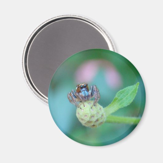 Een tuinvriend. magneet (Voorkant / Achterkant)