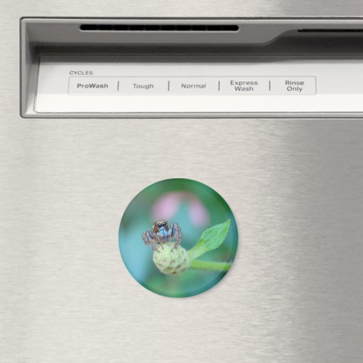 Een tuinvriend. magneet (Insitu (Vaatwasser))