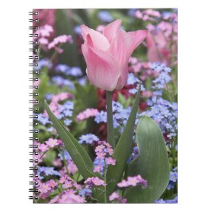 Een tulp in de Luxemburgse tuinen, Parijs, Frankri Notitieboek