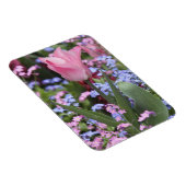 Een tulp in Luxemburg Gardens, Parijs, Frankrijk Magneet (Rechterzijde)