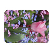 Een tulp in Luxemburg Gardens, Parijs, Frankrijk Magneet (Horizontaal)