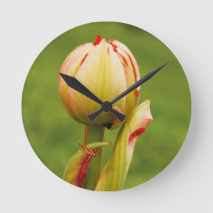 Een tulpenknop ronde klok