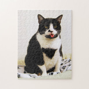 Een Tuxedo-kat tikt uit haar tong Legpuzzel