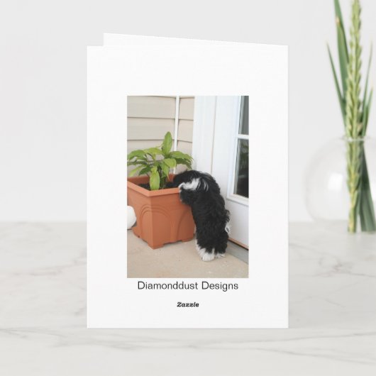 Een twee drie Kaart (Achterkant)